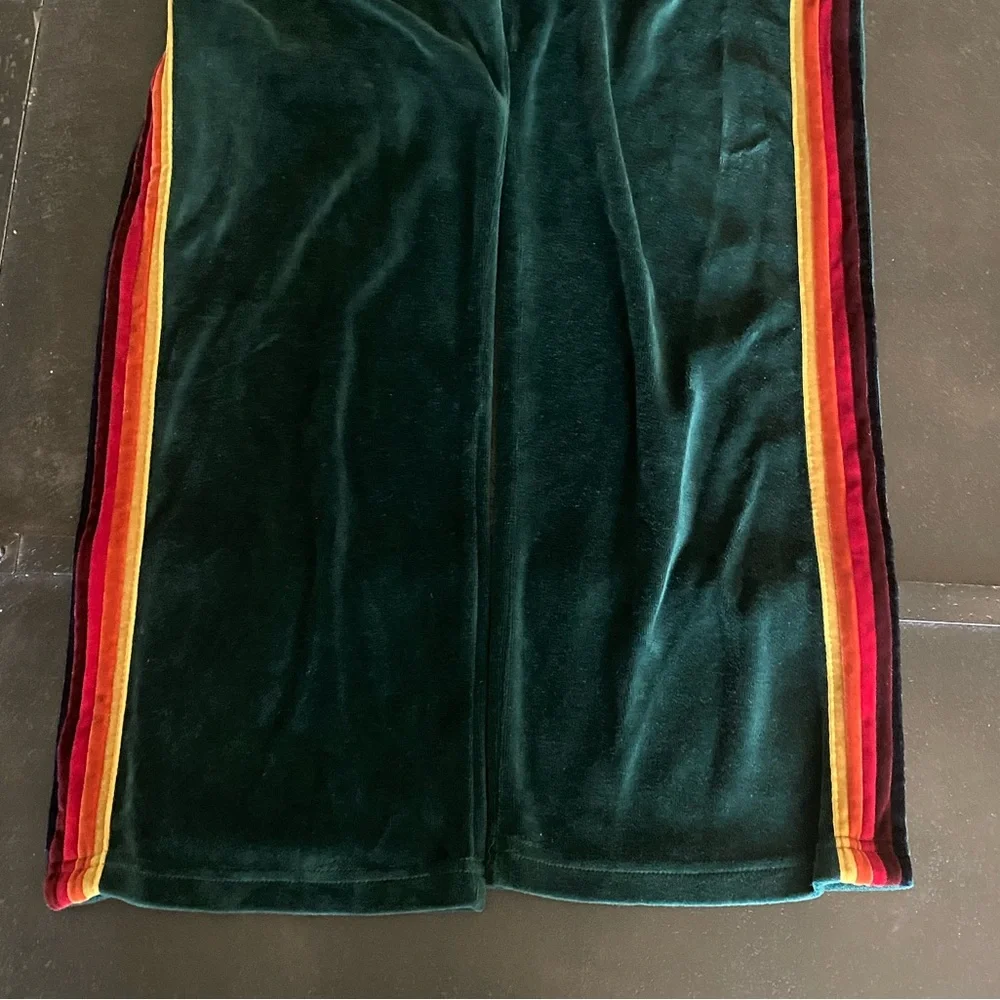 Aviator Nation Velvet Green Pants with Rainbow Stripes - Picture 3 of 5